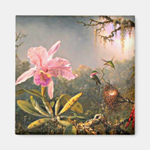 Cattleya-Orchidee und drei Kolibris Magnet