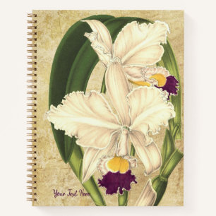 Cattleya quadricolor Spiral Notizbuch