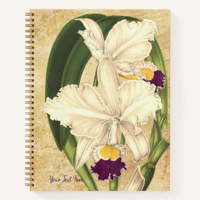Cattleya quadricolor SpiralNotebook Notizbuch (Vorderseite)