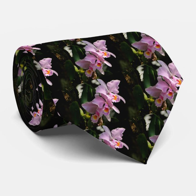 Cattleya Trianae Men-Krawatte Krawatte (Gerollt)