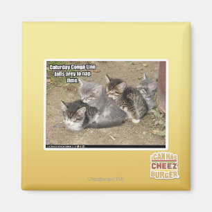 Caturday Conga Line Magnet