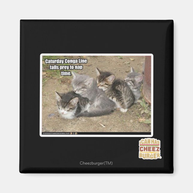 Caturday Conga Line Magnet (Vorne)