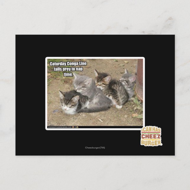Caturday Conga Line Postkarte (Vorderseite)