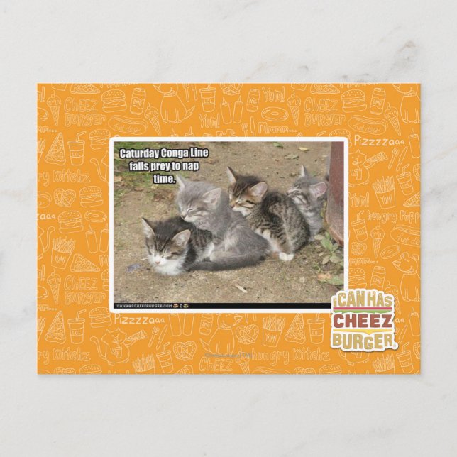 Caturday Conga Line Postkarte (Vorderseite)
