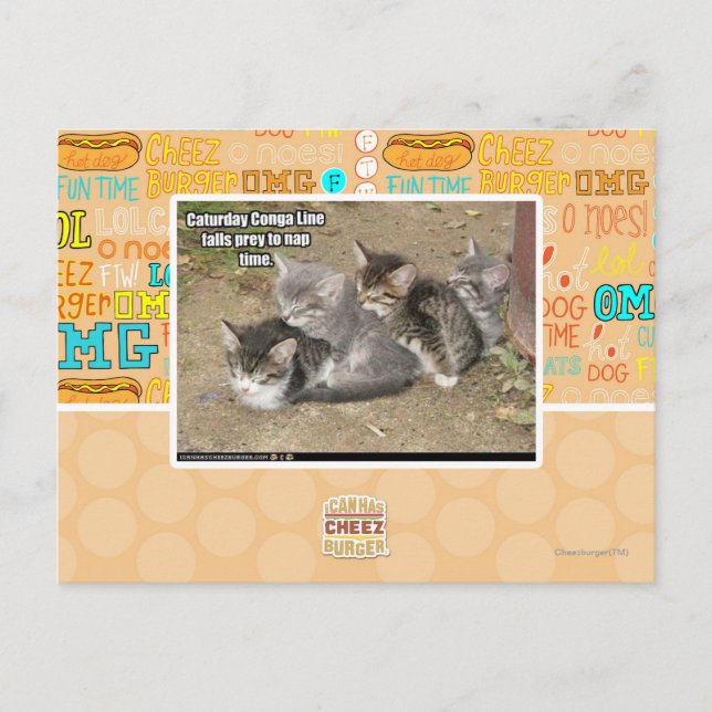 Caturday Conga Line Postkarte (Vorderseite)