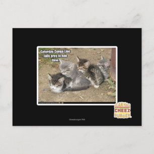 Caturday Conga Line Postkarte