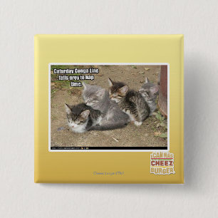 Caturday Conga-Linie Button