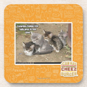 Caturday Conga-Linie Getränkeuntersetzer