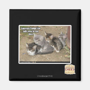 Caturday Conga-Linie Magnet