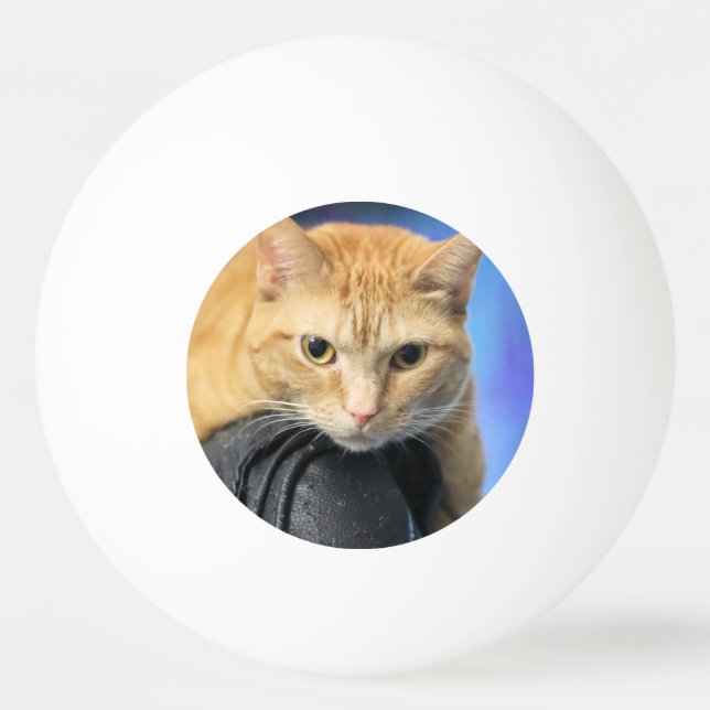 Caturday Tischtennisball (Vorderseite)