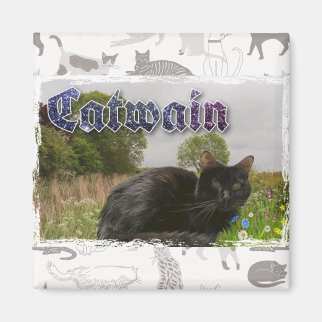 Catwain Magnet (Vorne)