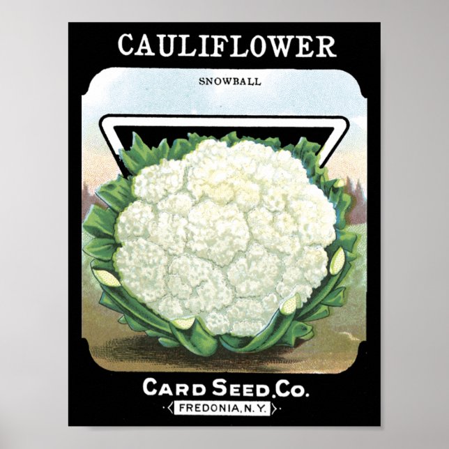 Cauliflower Card Seed CoPacket Fredonia, NY Poster (Vorne)