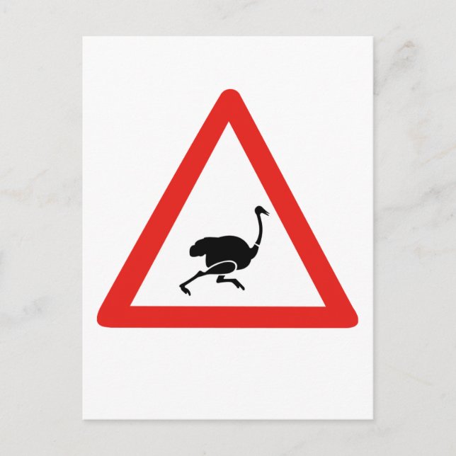 Caution Ostriches 1, Verkehrswarnung, Namibia Postkarte (Vorderseite)
