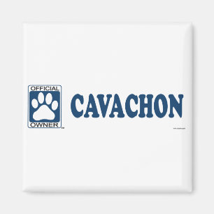 Cavachon Blau Magnet