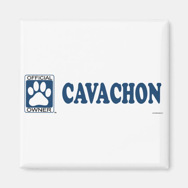 Cavachon Blue Magnet (Vorne)