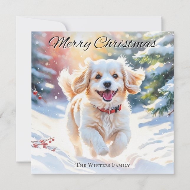 Cavachon Dog im Schnee Weihnachten (Vorderseite)