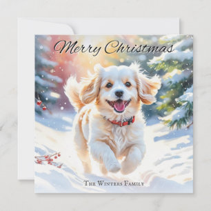 Cavachon Dog im Schnee Weihnachten