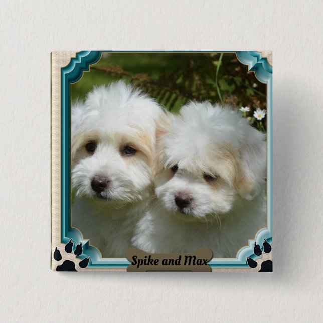 Cavachon Dog Magnet anpassen Button (Vorderseite)