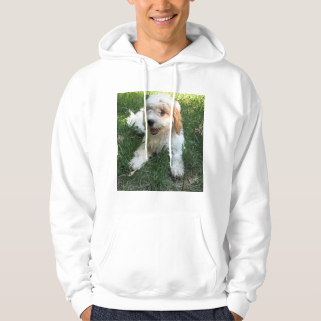 Cavachon-Foto, Hund Hoodie (Vorderseite)