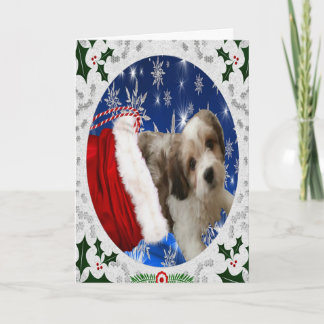 Cavachon Grußkarte, Weihnachtshund Feiertagskarte