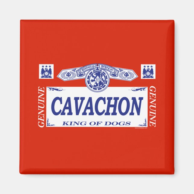 Cavachon Magnet (Vorne)