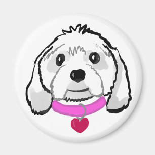 Cavachon Magnet