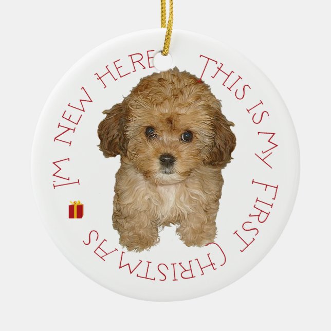 Cavachon Puppy Keramikornament (Vorne)
