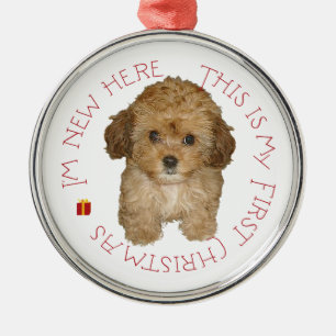Cavachon Puppy Silbernes Ornament