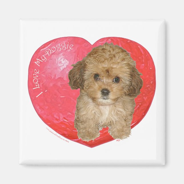 Cavachon Valentinstag Magnet (Vorne)
