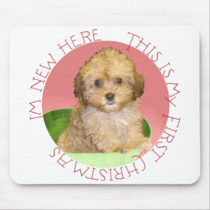 Cavachon-Welpe erstes Weihnachten Mousepad