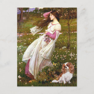 Cavalier 2 (Bl) - Windblumen Postkarte