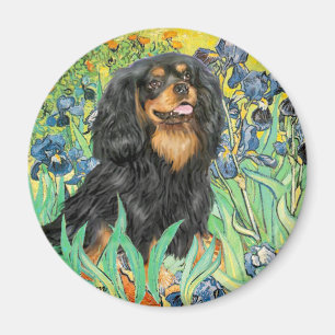 Cavalier (BT) - Schwertlilien Magnet