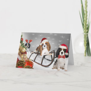 Cavalier haben eine Yappy Weihnachtskarte Feiertagskarte