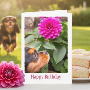 Cavalier King Charles Dahlie Geburtstag Karte