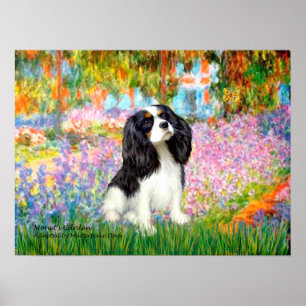 Cavalier King Charles (dreifarbig) - Garten Poster