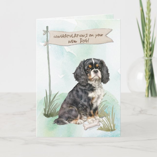 Cavalier King Charles gratulieren New Dog Karte (Vorderseite)