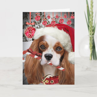 Cavalier King Charles Merry Christmas Cards Feiertagskarte
