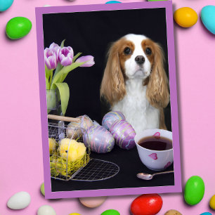 Cavalier King Charles Oster-Tulpen-Eier-Karte Feiertagskarte