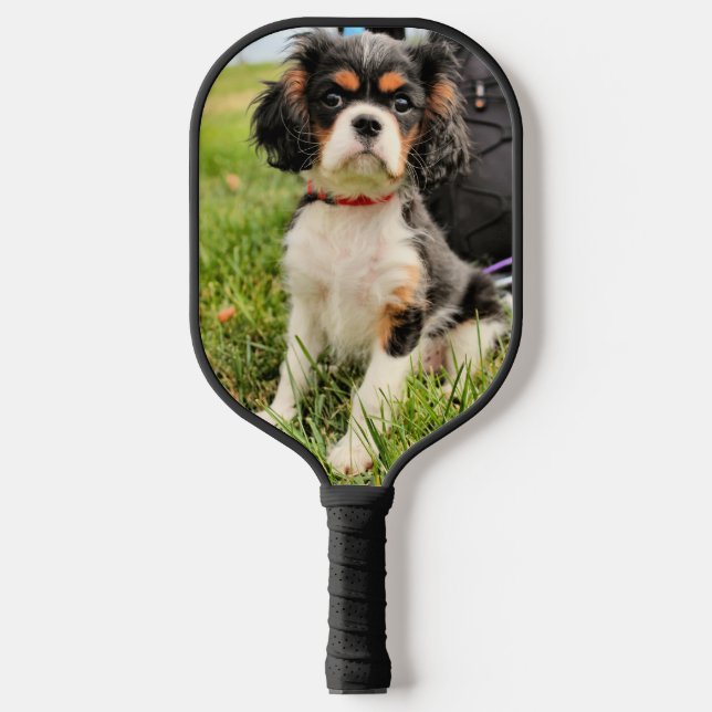 Cavalier King Charles Pickleball Schläger (Vorderseite)