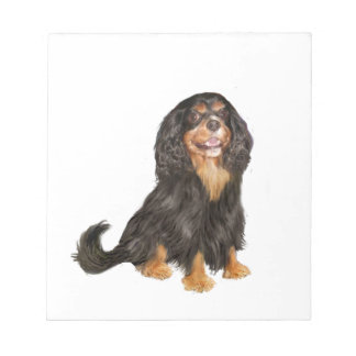 Cavalier King Charles (R) - Schwarz und lohfarben. Notizblock