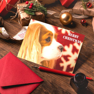 Cavalier King Charles Schneeflocken Weihnachtskart Feiertagskarte
