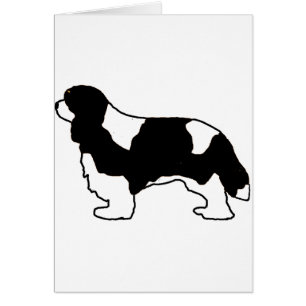 Cavalier King Charles Schwarz-Weiß-Silo