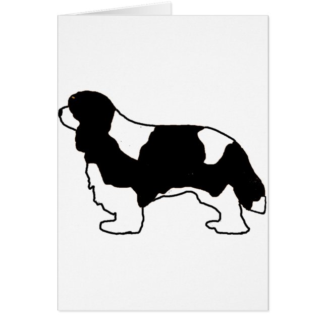 Cavalier King Charles Schwarz-Weiß-Silo (Vorne)