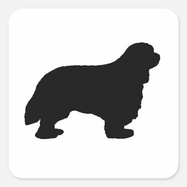 Cavalier King Charles silo schwarz Quadratischer Aufkleber (Vorderseite)