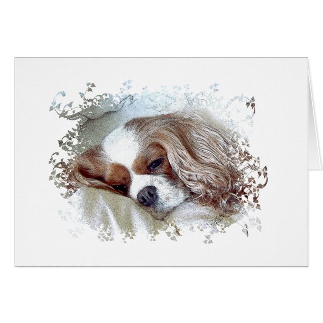 Cavalier King Charles Spaniel (Vorderseite (Horizontal))