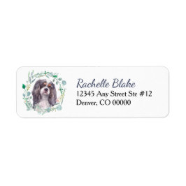 Cavalier King Charles Spaniel