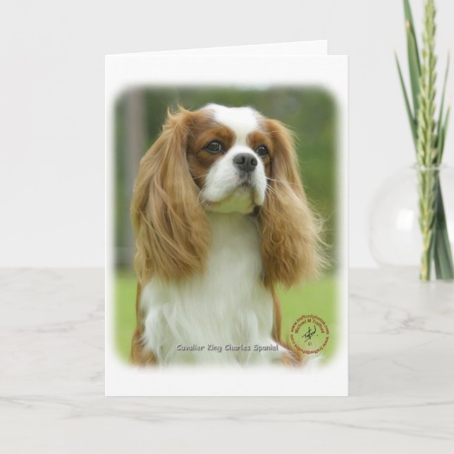 Cavalier King Charles Spaniel 9F097D-08 Karte (Vorderseite)