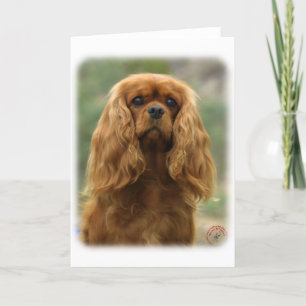 Cavalier King Charles Spaniel 9F51D-10 Karte