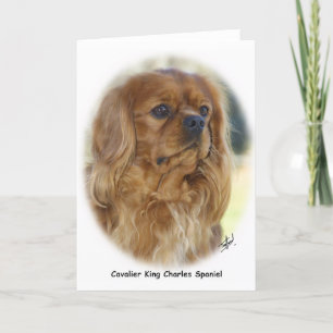 Cavalier King Charles Spaniel 9K27D-17 Karte
