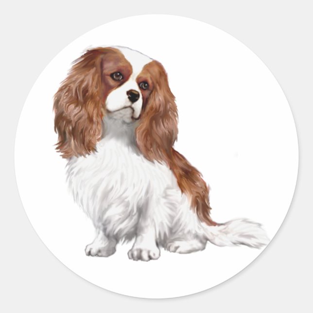 Cavalier King Charles Spaniel (A) - Blenheim 1 Runder Aufkleber (Vorderseite)